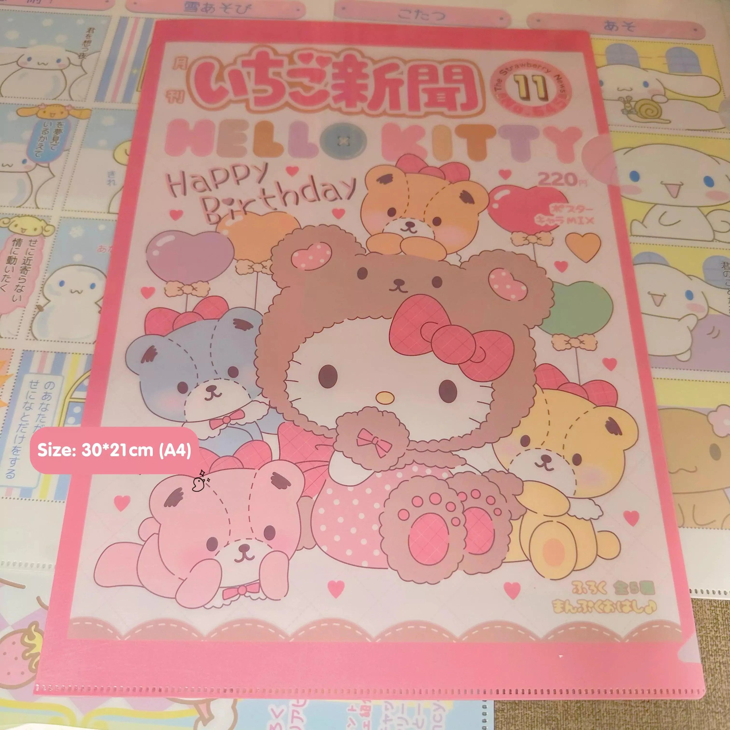 Sanrio Newsletter A4 File Holder