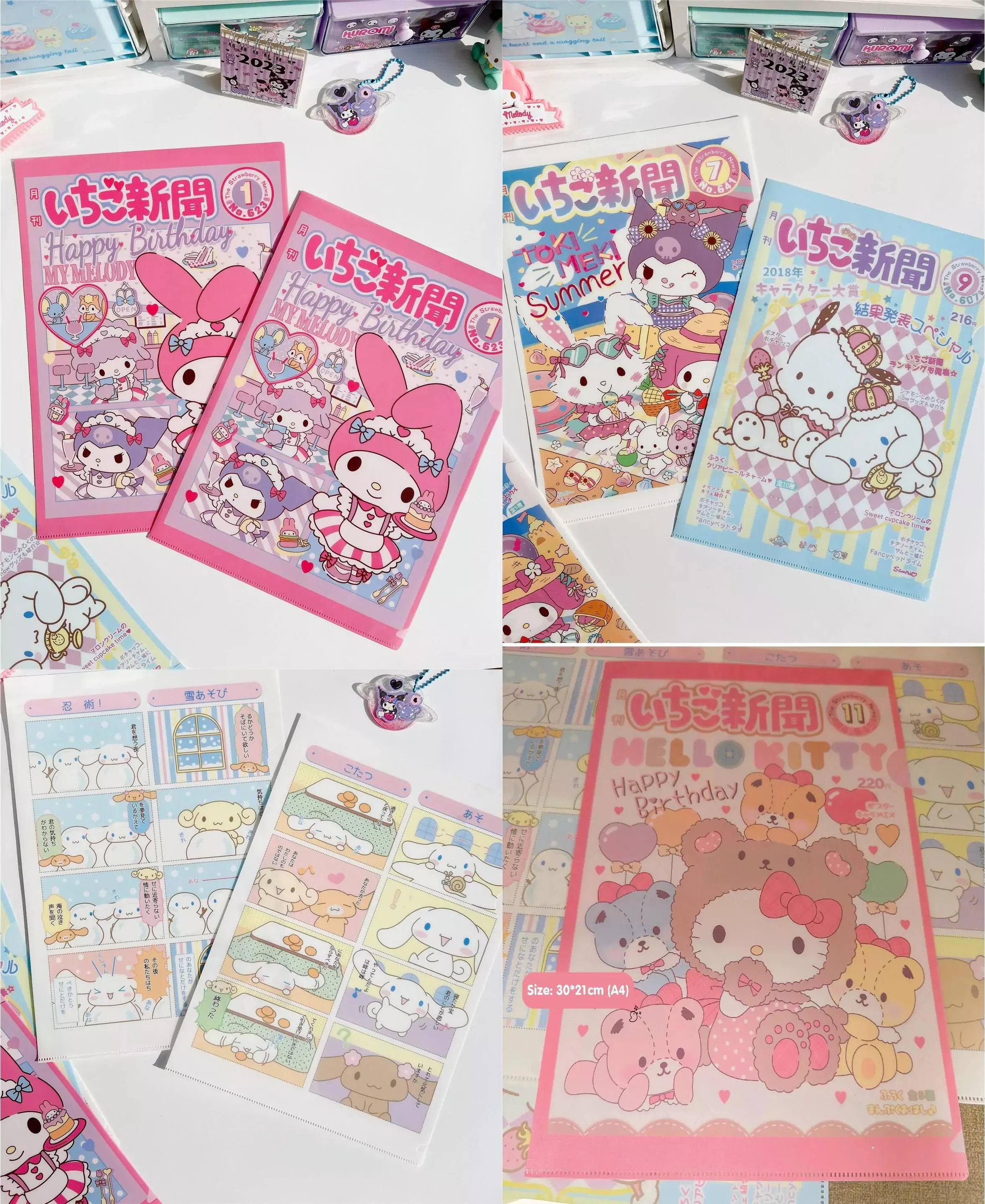 Sanrio Newsletter A4 File Holder