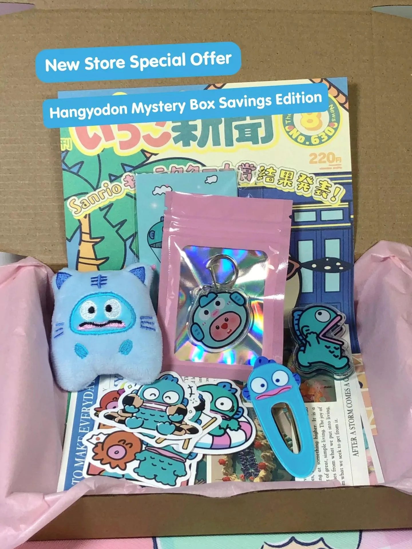 Sanrio Mystery Box (15 USD Version)
