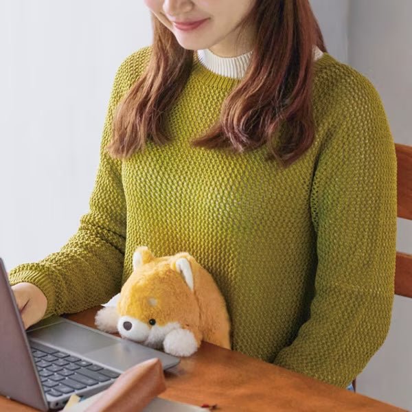 Funbaruz Posture Pal / Dreams